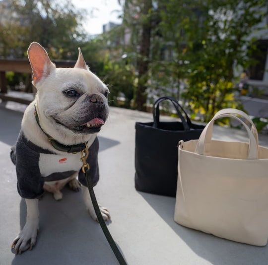 おしゃれな犬のお散歩バッグ ParTote │ kimimaro – backroom